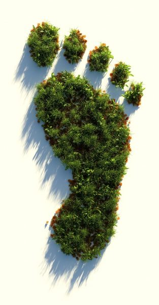 green-healthy-footprint-ecological-footprint-climate-change-plants-agriculture-environment-sustainable-co2-ecological-footprint-co2-co2-co2-co2-co2-4123698 green, healthy, footprint, ecological footprint, climate change, plants, agriculture, environment, sustainable, co2, ecological footprint, co2, co2, co2, co2, co2-4123698.jpg